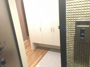 ＭＡＳＴＴＯＷＮ　Ａｓｔｒａｅａ 0205号-2