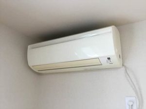 ＭＡＳＴ　ＴＯＷＮ　デュオ B201号-14