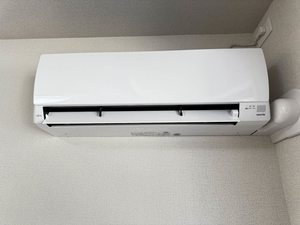 リシアンサス 0203号-12