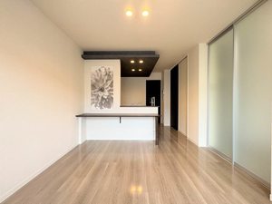 セルディーナ下新本町 0102号-2