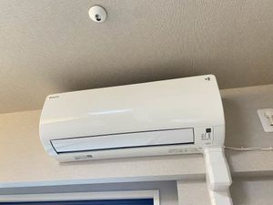 Ｊｕｎｒｉ　Ｓａｋｕｒａｙａｍａ 1002号-11