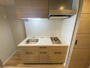 Ｊｕｎｒｉ　Ｓａｋｕｒａｙａｍａ 1403号-5