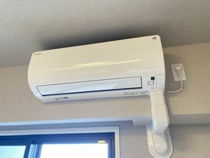 Ｊｕｎｒｉ　Ｓａｋｕｒａｙａｍａ 1403号-10