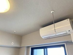 Ｊｕｎｒｉ　Ｓａｋｕｒａｙａｍａ 1403号-11