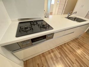 ニューヴィレッジ 0101号-10