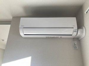 ベレオペリファニア 0103号-10