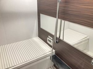 ベレオペリファニア 0105号-7