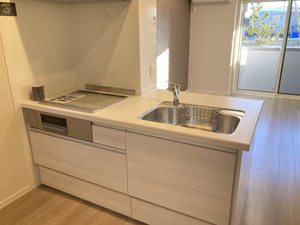 ベレオペリファニア 0105号-8