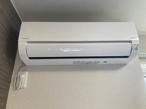 ベレオペリファニア 0105号-9