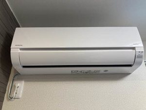 ベレオペリファニア 0205号-9