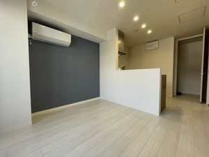 メゾン ド カナワ 0307号-12