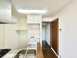 Ｑｕｅｅｎ’ｓ　Ｉｓｌａｎｄ 0205号-7