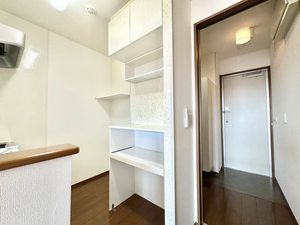 Ｑｕｅｅｎ’ｓ　Ｉｓｌａｎｄ 0205号-8