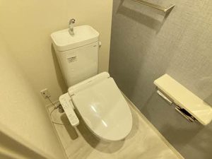 Ｆｅｌｉｃｅ（フェリーチェ） 0103号-10