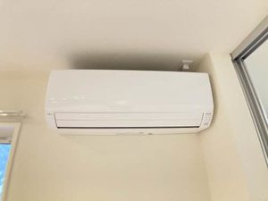 Ｆｅｌｉｃｅ（フェリーチェ） 0103号-13