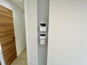 Ｌｕｎａ　Ｐｉｅｎａ 0202号-13