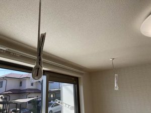 レフィシア三好ヶ丘 0101号-10