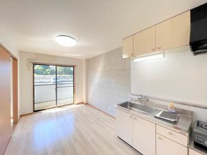 ブルースカイマンション 001A号-2