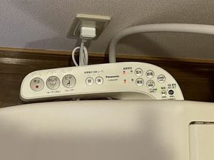 サンリバー今朝白Ⅱ 1号-8