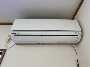 サンリバー今朝白Ⅱ 1号-10
