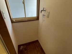 サンリバー今朝白Ⅱ 1号-12