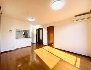 コートモデルノＢ 0201号-10