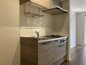 リオリエント玉宮 0208号-4