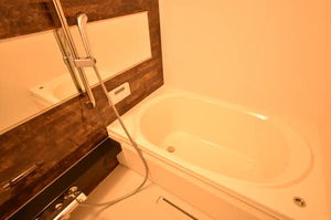 シャーメゾン神山 0306号-8