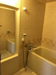 ロイヤルシャトー高丘東２０８ 0208号-10