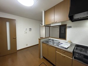 ウィルモア C206号-3