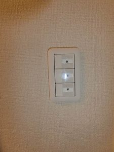 Ｉｓｏｌａ　Ｅｔｅｒｎａ 0101号-10