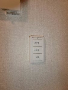 Ｉｓｏｌａ　Ｅｔｅｒｎａ 0101号-11