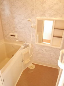 ラプランタン B201号-11