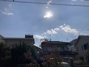 リオリエント福光東 0101号-12