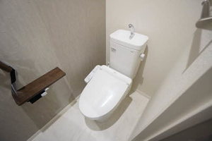 Ｃｌａｖｅｌ（クラベール） 0303号-11