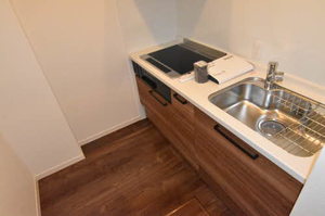 Ｍａｉｓｏｎ　ｄｅ　Ａｒｉｓｔｉｏ 0102号-5