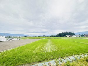 フォーブルやまと B202号-2