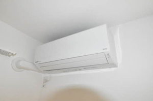 Ａｍｂｉｅｒａ（アンビエラ） 0205号-11