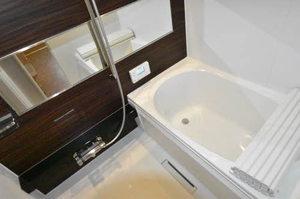 Ａｍｂｉｅｒａ（アンビエラ） 0205号-14