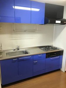 パッヘルカノン雁宿 0304号-11