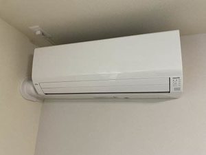 アモタテラス 0202号-3