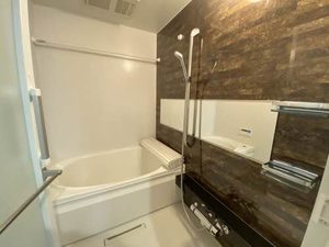 アモタテラス 0202号-12