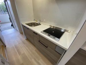 メゾンエイムス 0402号-7