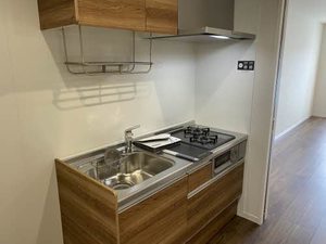 サンメゾン 0201号-6