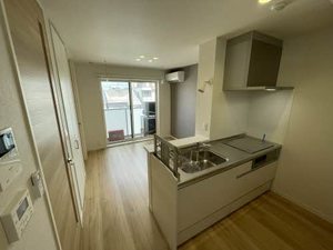 ｓｈｉｎ 0301号-2