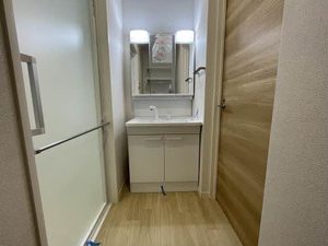 ｓｈｉｎ 0301号-5