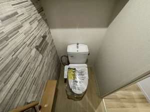 ｓｈｉｎ 0301号-6