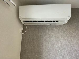 ｓｈｉｎ 0301号-8