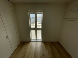 ｓｈｉｎ 0301号-11