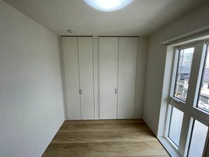 ｓｈｉｎ 0301号-12